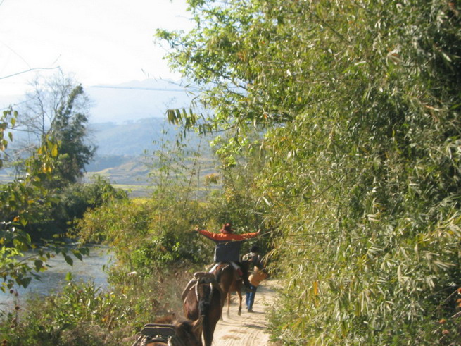 茶马古道