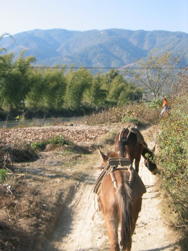 茶马古道