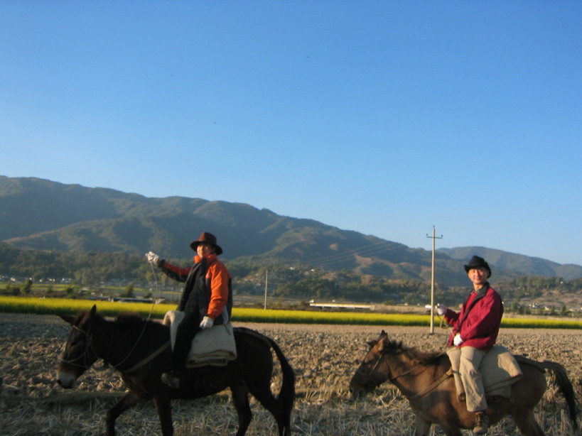 茶马古道