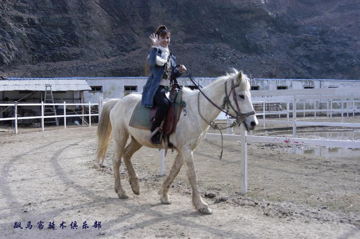 代替江湖发公告哈——偶是江湖滴女儿恩~