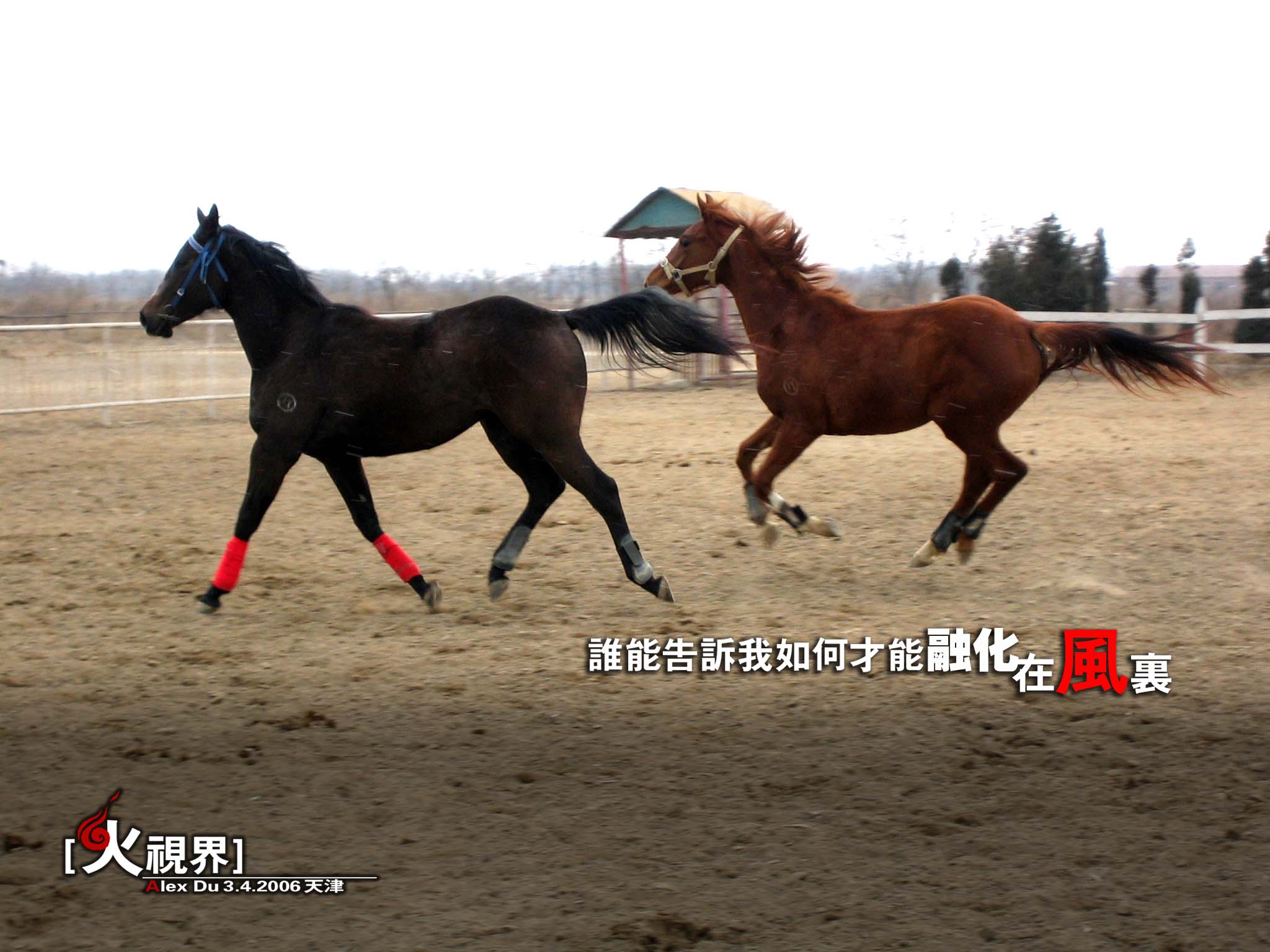 如何才能融化在风里