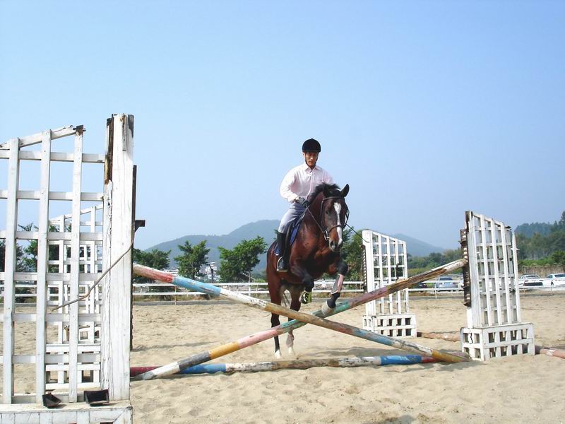 在广州和东莞有骑马的地方吗?