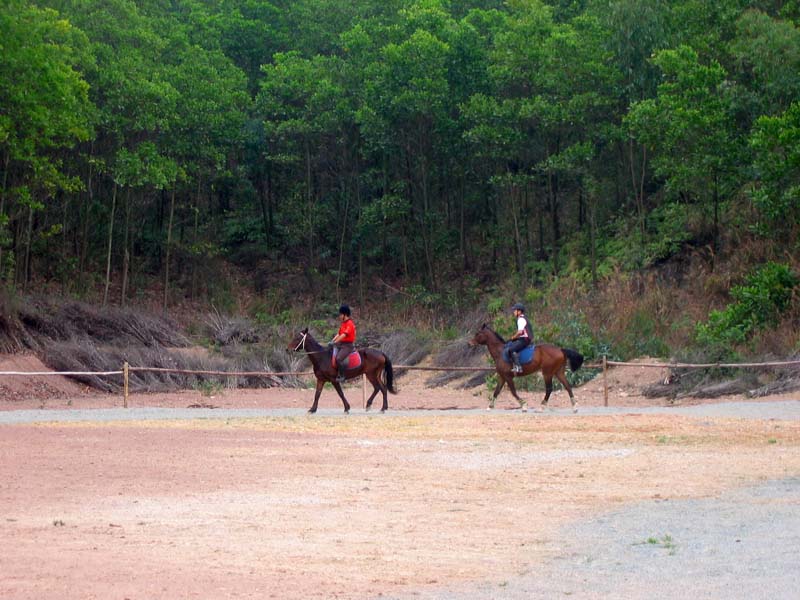 [原创]我的第一次……..(深圳马友3月20日雁鸣湖马场活动流水帐)