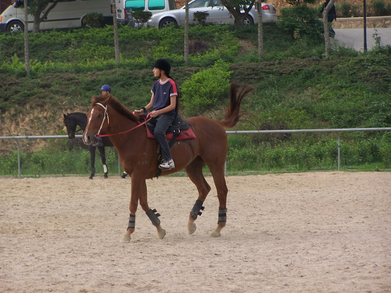 4月8日深圳骑士会聚会照片