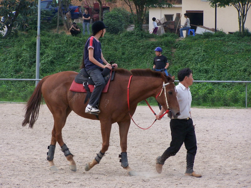 4月8日深圳骑士会聚会照片