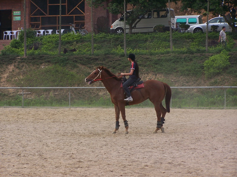 4月8日深圳骑士会聚会照片