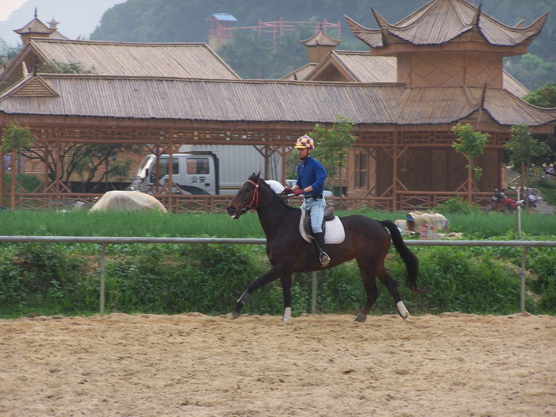 4月8日深圳骑士会聚会照片