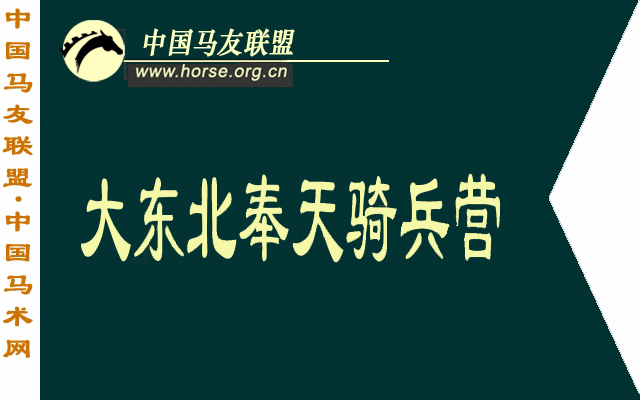 新人报到