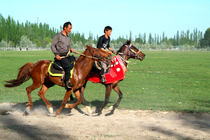 新疆伊犁赛马场见闻
