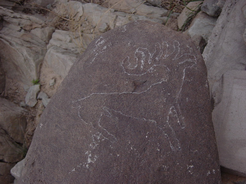 [贴图]贺兰山峡谷岩画