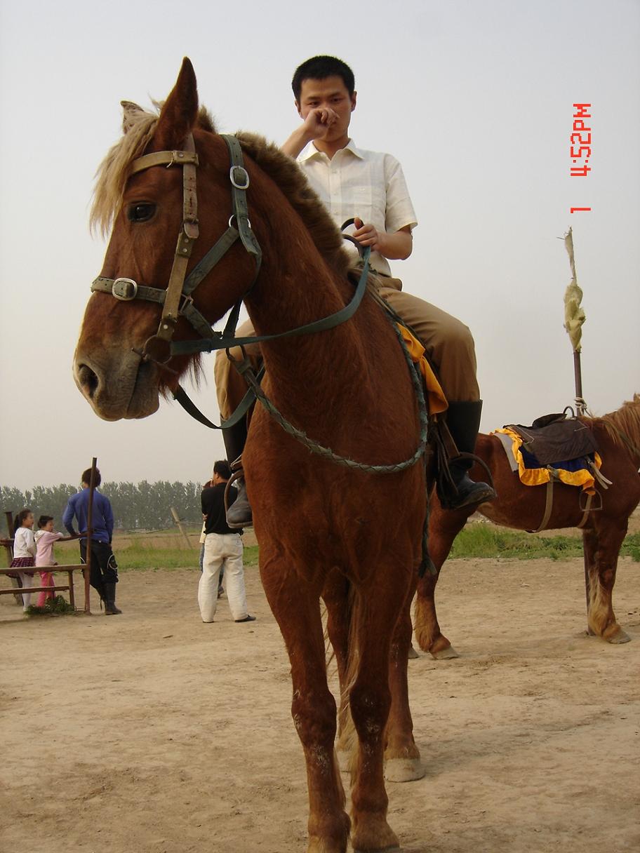 快乐五一行---鹤园马术俱乐部--照片(续传中)，欢迎