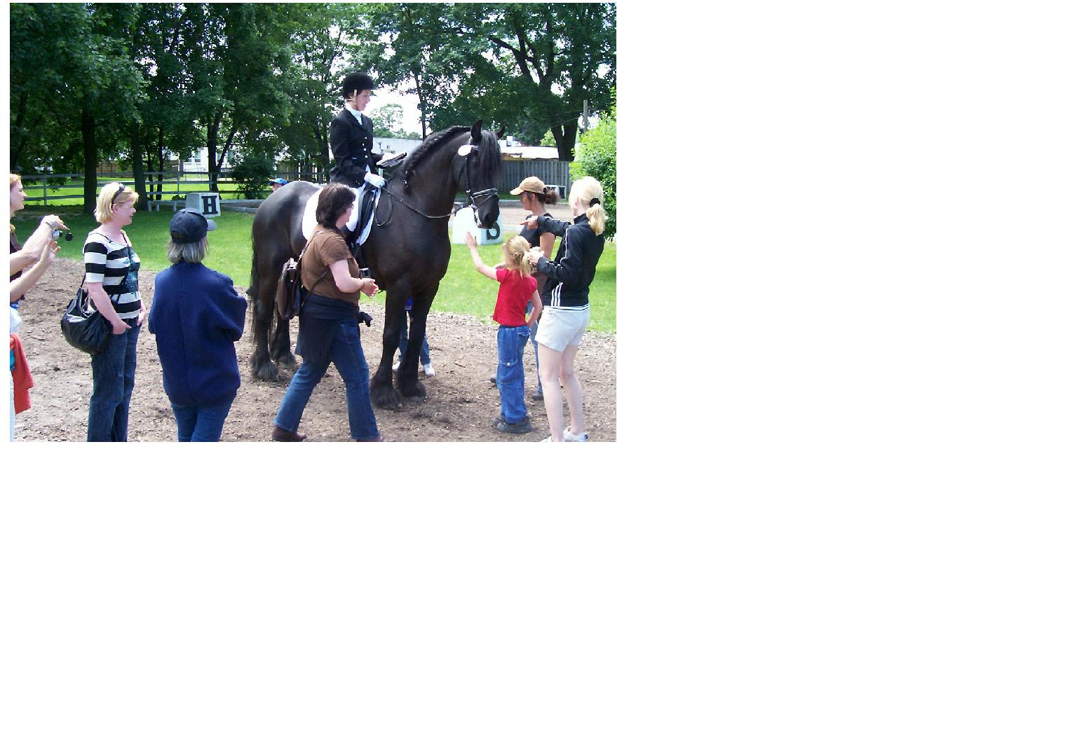 [贴图]6/11 SCHOOL DRESSAGE SHOW