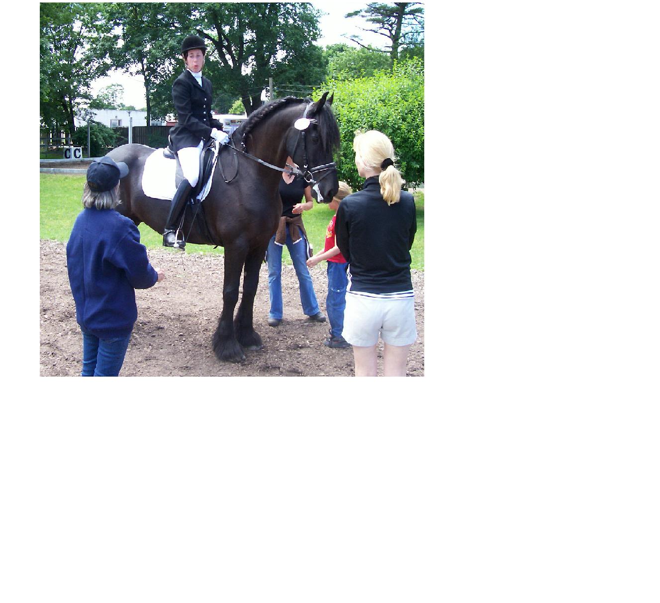 [贴图]6/11 SCHOOL DRESSAGE SHOW