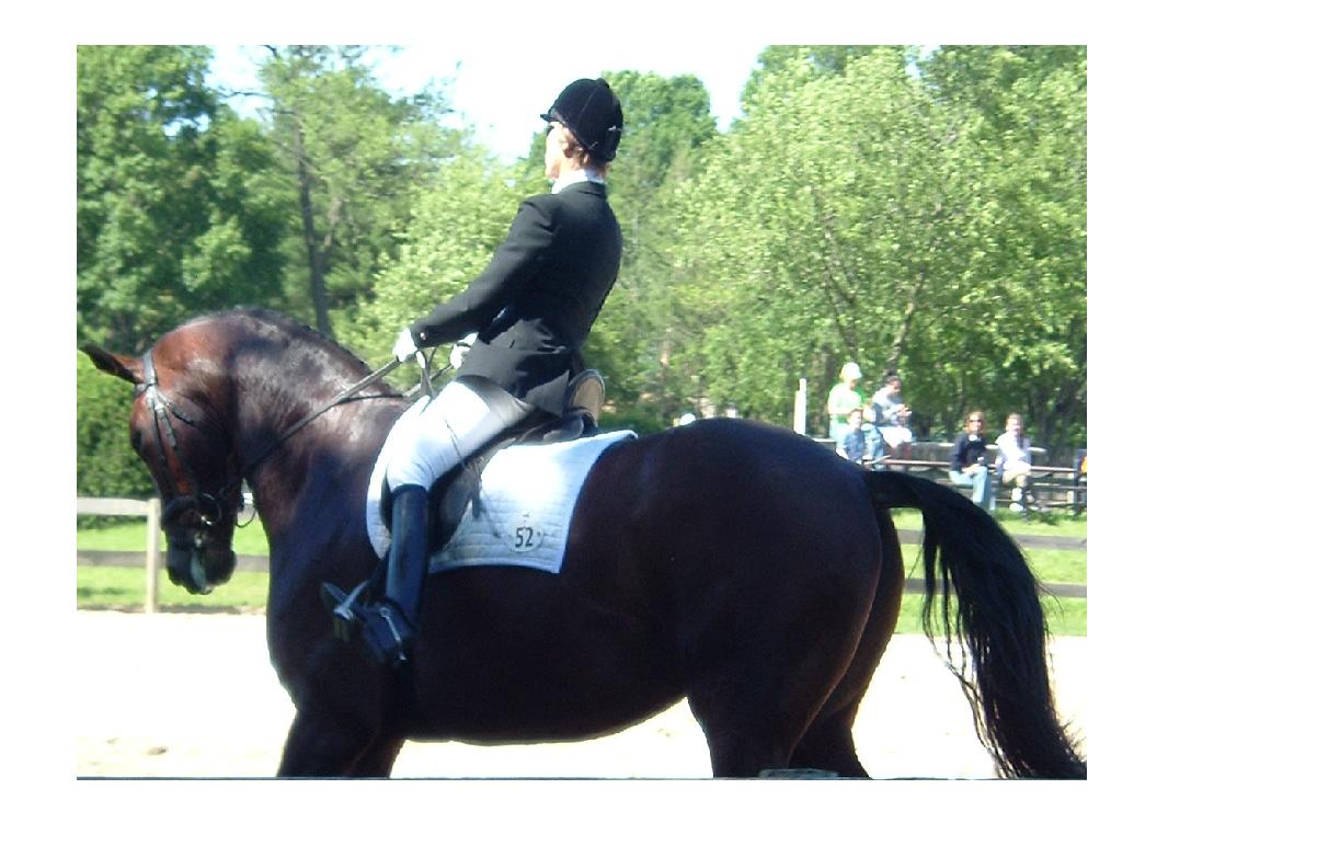 [贴图]6/11 SCHOOL DRESSAGE SHOW
