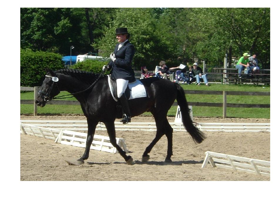 [贴图]6/11 SCHOOL DRESSAGE SHOW