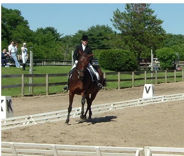 [贴图]6/11 SCHOOL DRESSAGE SHOW