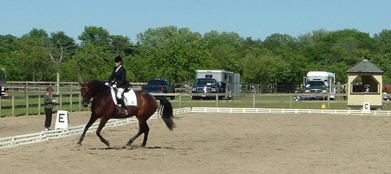 [贴图]6/11 SCHOOL DRESSAGE SHOW