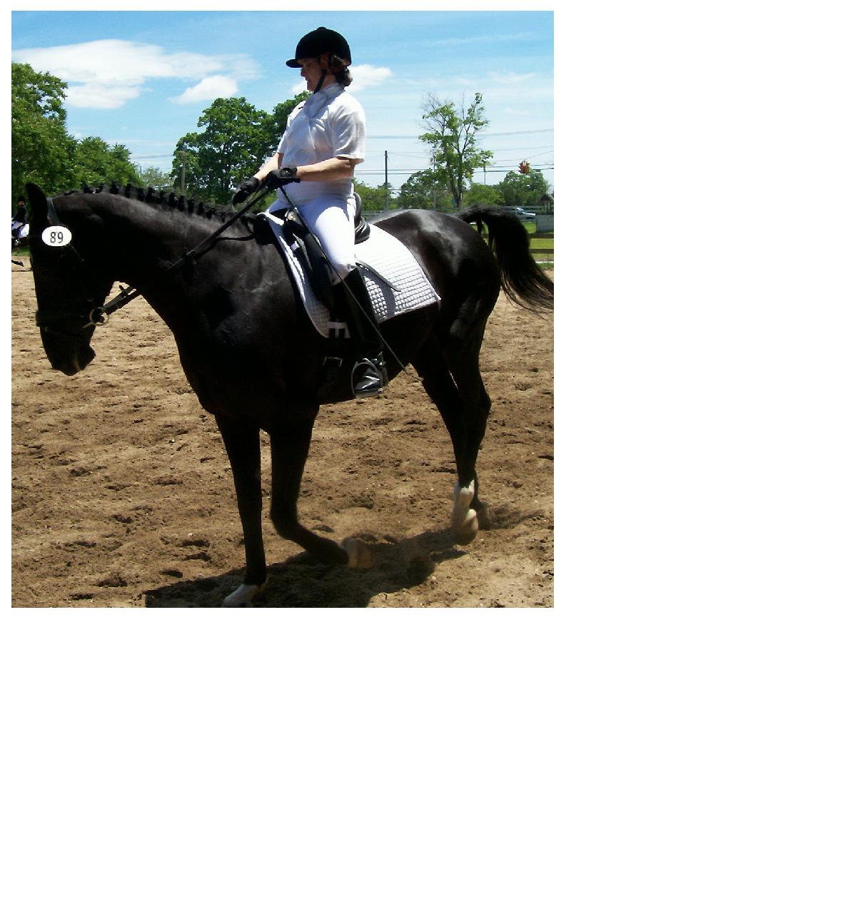 [贴图]6/11 SCHOOL DRESSAGE SHOW