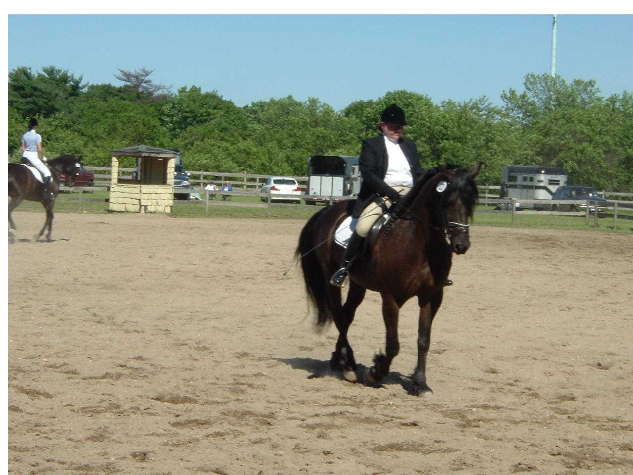 [贴图]6/11 SCHOOL DRESSAGE SHOW