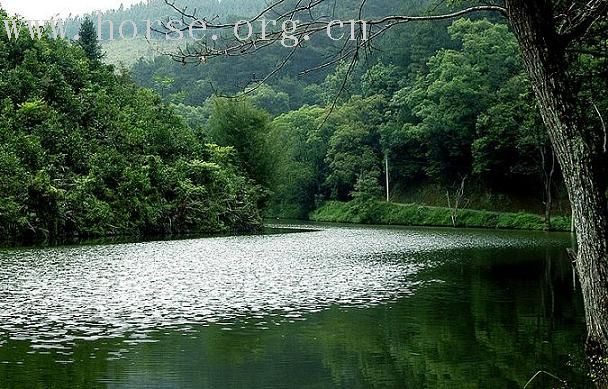 雨后森林