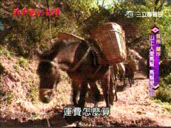 雲南馬幫﹝電視播映翻拍﹞