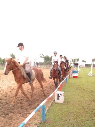 上海马友会两周年马术友谊赛&庆祝晚会