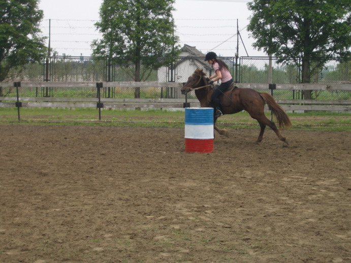 上海马友会两周年马术友谊赛&庆祝晚会