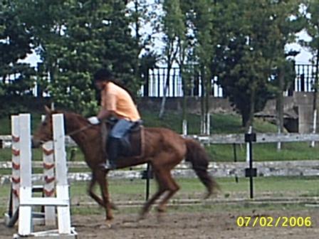 上海马友会两周年马术友谊赛&庆祝晚会