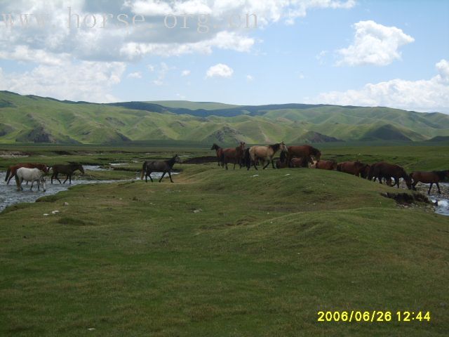 [原创]8月中旬远征新疆阿尔泰山 喀纳斯湖行动计划