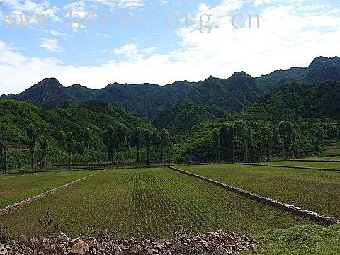 密云古北口野长城附近骑马休闲