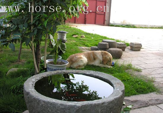 江湖老兄---握握手,认识一下