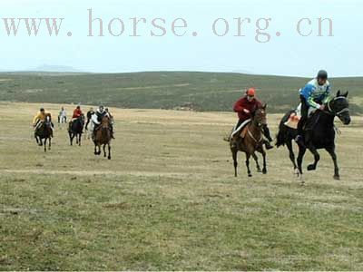 賽馬（Horse racing）