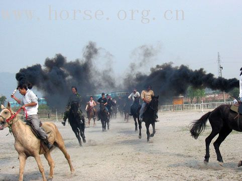 杭州２００５西博会节目排练现场报道