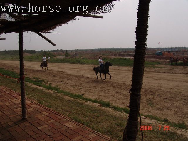 阿尔泰一日游(马联特约记者)三