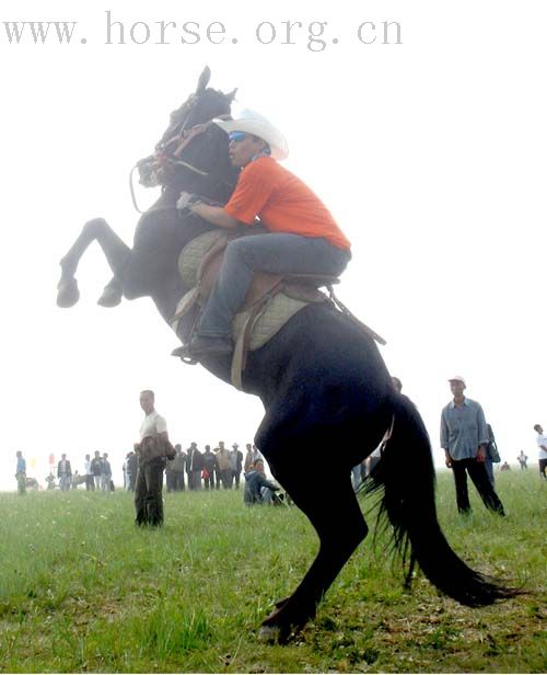 [贴图]★★★全国绕桶冠军赛：骏马、美女、猛男的亮相前的热身