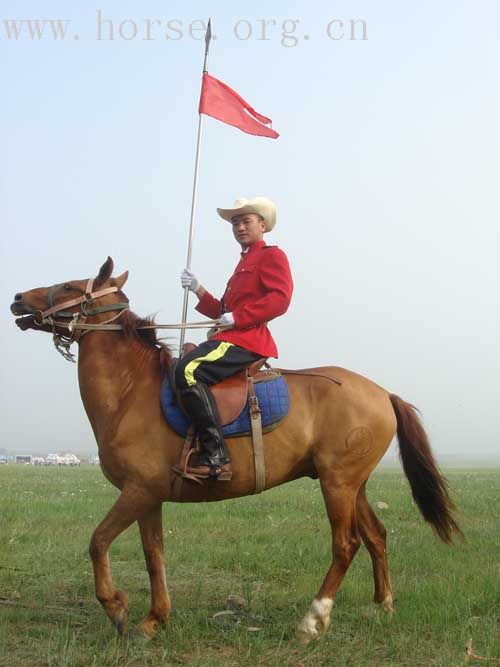 [贴图]★★★全国绕桶冠军赛：骏马、美女、猛男的亮相前的热身