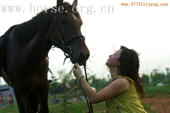 飞扬女骑师夏日倾情靓照