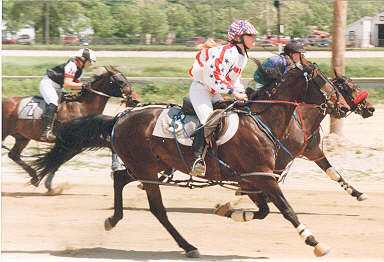 另类赛马——RACING UNDER SADDLE