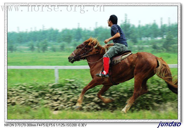 Huszar 来郑交流的部分照片