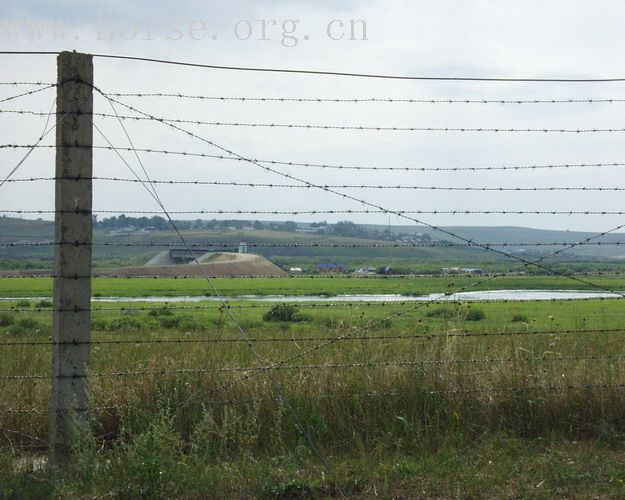 [贴图]★★二零零六年——纵马呼伦贝尔大草原★★