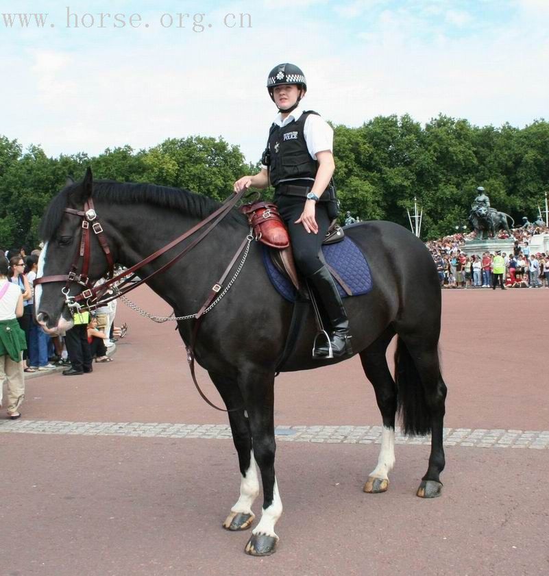 GKTM9ewS.jpg