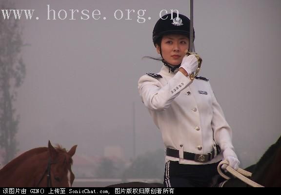 我的小马驹出世啦
