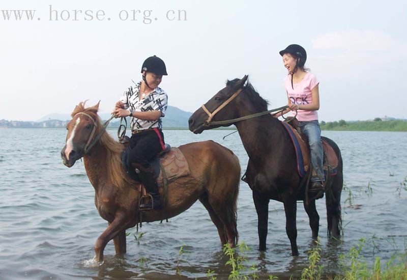 南方特色：骑马摘莲、游泳