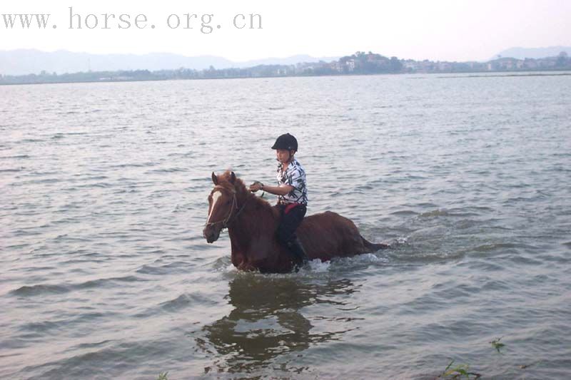 南方特色：骑马摘莲、游泳