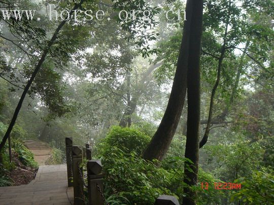 肆跃、小宝四川之行照片汇报～～～