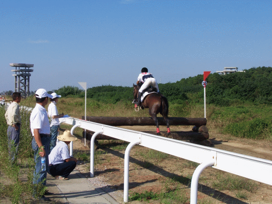 2006年南京“华泰证券杯”全国马术（三项赛）锦标赛