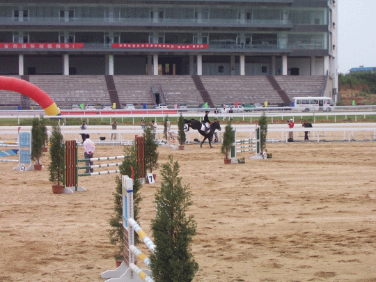 2006年南京“华泰证券杯”全国马术（三项赛）锦标赛
