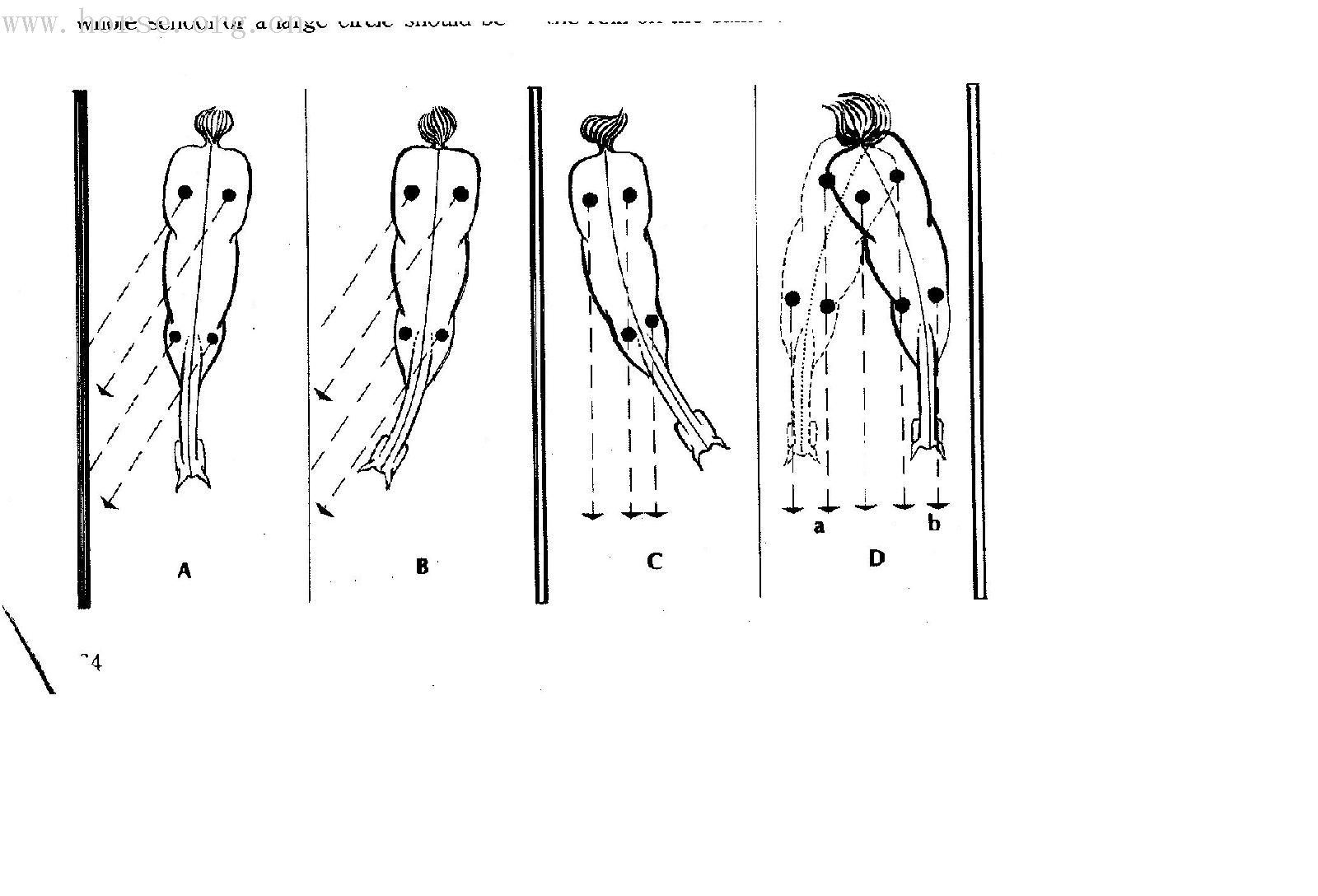 SHOULDER-IN