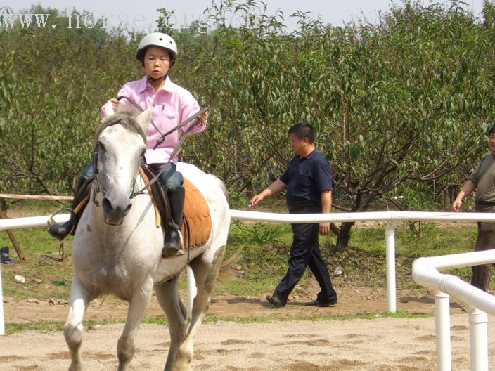 [贴图]乐乐骑白马