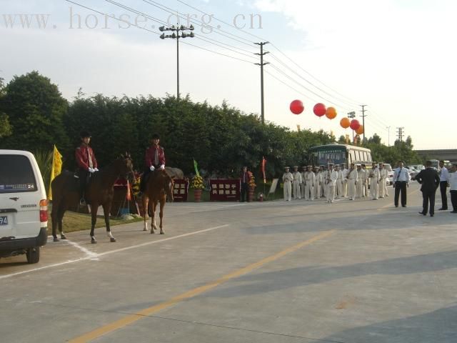 图片增加中